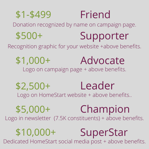 Donation Levels.png